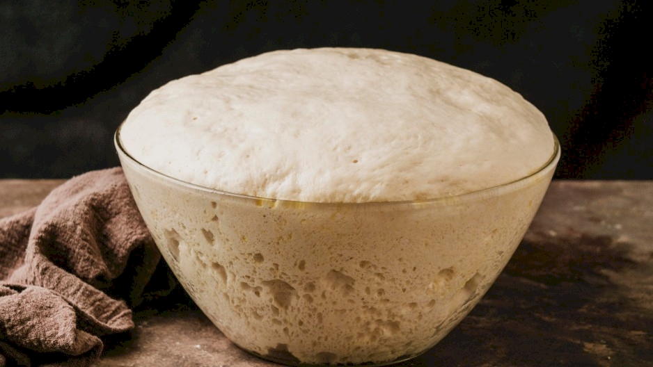 While both leaven bread, masa madre and commercial yeast operate on fundamentally different principles. Commercial yeast is a single-strain, fast-acting Saccharomyces cerevisiae optimized for speed and predictability. Masa madre, by contrast, is a diverse, evolving community that requires more time but rewards with depth.