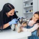 Designer Paws Salon