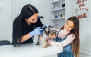 Designer Paws Salon