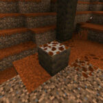 How to Find New Dappled Forest in Minecraft: Best Locations, Poplar Trees and Camps