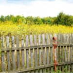 Cypress Fencing