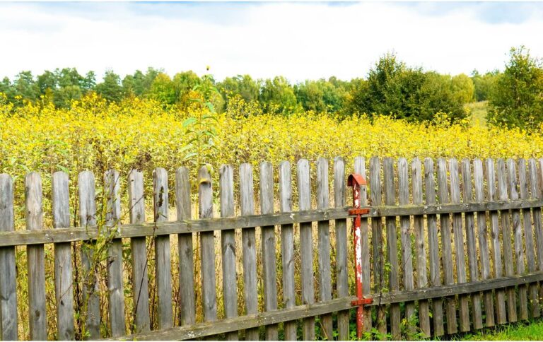 Cypress Fencing